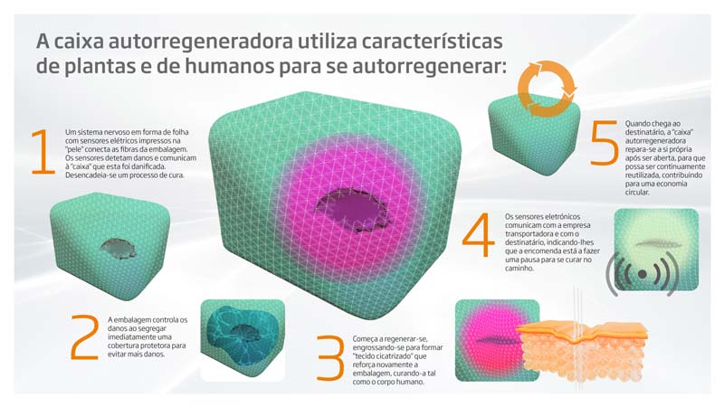 2392 DS Smith Box of the future Infographic