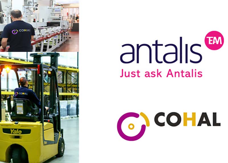 Antalis Cohal